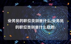 业务员的职位类别是什么(业务员的职位类别是什么意思)