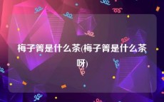 梅子箐是什么茶(梅子箐是什么茶呀)