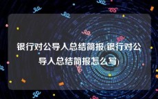 银行对公导入总结简报(银行对公导入总结简报怎么写)