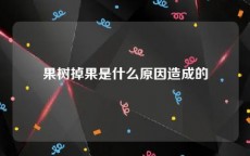 果树掉果是什么原因造成的