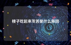 桃子吃起来发苦是什么原因