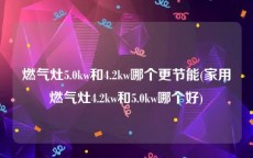 燃气灶5.0kw和4.2kw哪个更节能(家用燃气灶4.2kw和5.0kw哪个好)