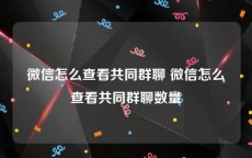 微信怎么查看共同群聊 微信怎么查看共同群聊数量