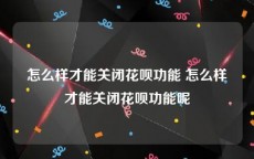 怎么样才能关闭花呗功能 怎么样才能关闭花呗功能呢