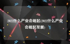 2022什么产业会崛起(2022什么产业会崛起发展)