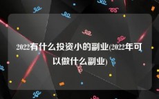 2022有什么投资小的副业(2022年可以做什么副业)