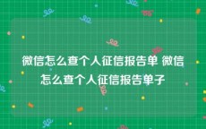 微信怎么查个人征信报告单 微信怎么查个人征信报告单子