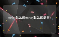 turkey怎么读(turkey怎么读语音)