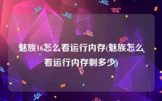 魅族16怎么看运行内存(魅族怎么看运行内存剩多少)