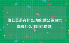 蒲公英茶有什么功效(蒲公英泡水喝有什么作用和功效)