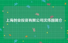 上海创业投资有限公司沈伟国简介