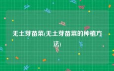 无土芽苗菜(无土芽苗菜的种植方法)