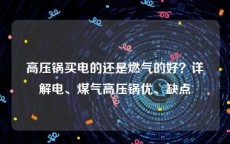 高压锅买电的还是燃气的好？详解电、煤气高压锅优、缺点