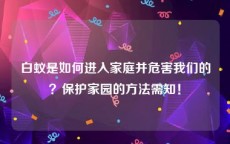 白蚁是如何进入家庭并危害我们的？保护家园的方法需知！