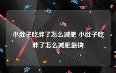 小肚子吃胖了怎么减肥 小肚子吃胖了怎么减肥最快