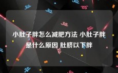 小肚子胖怎么减肥方法 小肚子胖是什么原因 肚脐以下胖