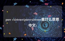 pure existence(pureexistence是什么意思中文)