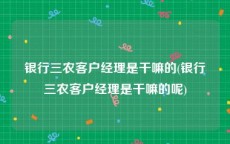 银行三农客户经理是干嘛的(银行三农客户经理是干嘛的呢)