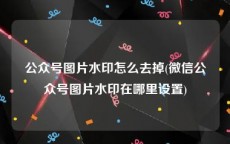 公众号图片水印怎么去掉(微信公众号图片水印在哪里设置)