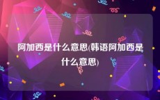 阿加西是什么意思(韩语阿加西是什么意思)