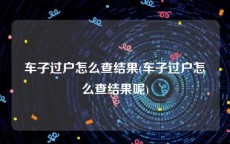 车子过户怎么查结果(车子过户怎么查结果呢)