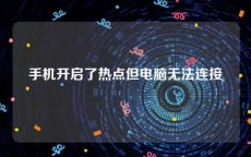 手机开启了热点但电脑无法连接