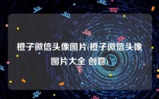 橙子微信头像图片(橙子微信头像图片大全 创意)