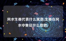 风水生姜代表什么寓意(生姜在风水中象征什么意思)