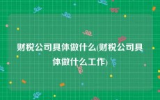 财税公司具体做什么(财税公司具体做什么工作)