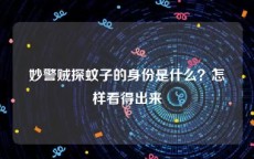 妙警贼探蚊子的身份是什么？怎样看得出来