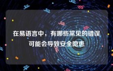 在易语言中，有哪些常见的错误可能会导致安全隐患