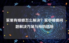 家里有蟑螂怎么解决？家中蟑螂问题解决方案与预防措施