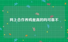 网上合作养鸡是真的吗可靠不