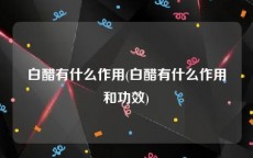 白醋有什么作用(白醋有什么作用和功效)