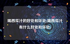 喝西瓜汁的好处和坏处(喝西瓜汁有什么好处和坏处)