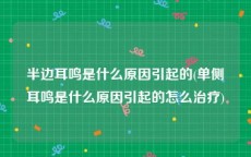 半边耳鸣是什么原因引起的(单侧耳鸣是什么原因引起的怎么治疗)