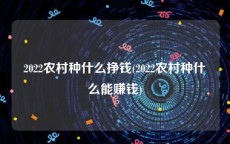 2022农村种什么挣钱(2022农村种什么能赚钱)