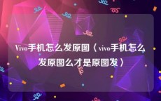 Vivo手机怎么发原图〈vivo手机怎么发原图么才是原图发〉