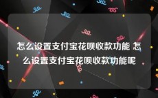 怎么设置支付宝花呗收款功能 怎么设置支付宝花呗收款功能呢