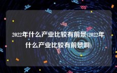 2022年什么产业比较有前景(2022年什么产业比较有前景啊)