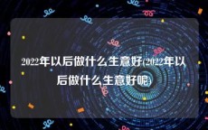 2022年以后做什么生意好(2022年以后做什么生意好呢)