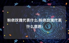 粉色玫瑰代表什么(粉色玫瑰代表什么意思)