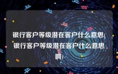 银行客户等级潜在客户什么意思(银行客户等级潜在客户什么意思啊)