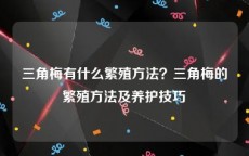 三角梅有什么繁殖方法？三角梅的繁殖方法及养护技巧