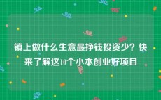 镇上做什么生意最挣钱投资少？快来了解这10个小本创业好项目