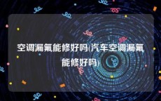 空调漏氟能修好吗(汽车空调漏氟能修好吗)