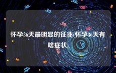 怀孕36天最明显的征兆(怀孕36天有啥症状)