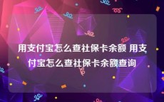 用支付宝怎么查社保卡余额 用支付宝怎么查社保卡余额查询