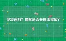 你知道吗？猫咪是否会感染猴痘？