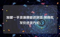 加盟一手货源哪能进到货(微商批发价进货方式)